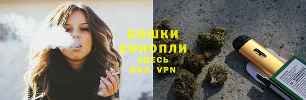прущие грибы Волосово
