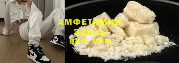 прущие грибы Волосово