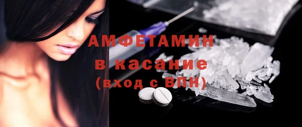 прущие грибы Волосово