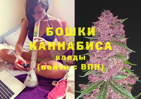 прущие грибы Волосово
