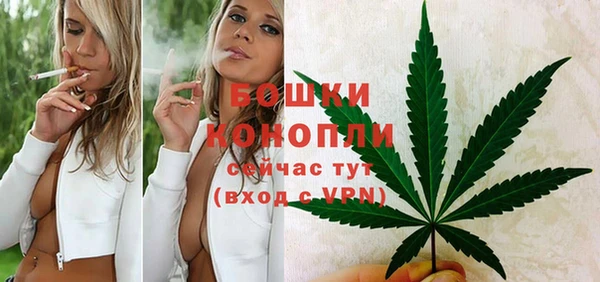 мяу мяу мука Волоколамск