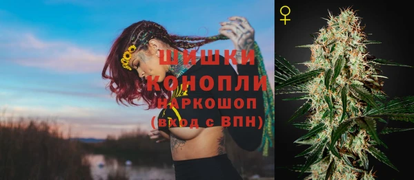 прущие грибы Волосово