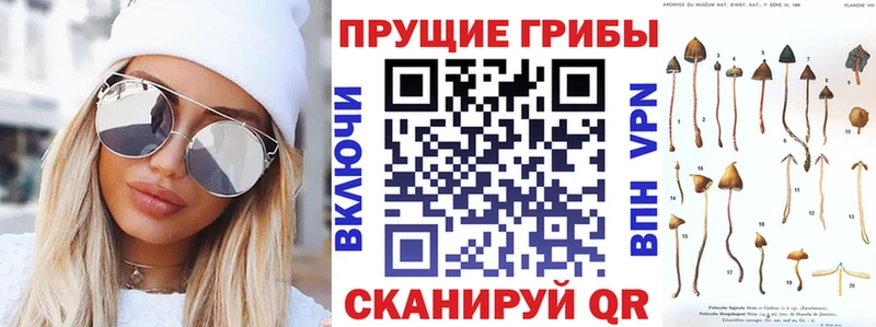 Псилоцибиновые грибы GOLDEN TEACHER  Купить закладки  Западная Двина 